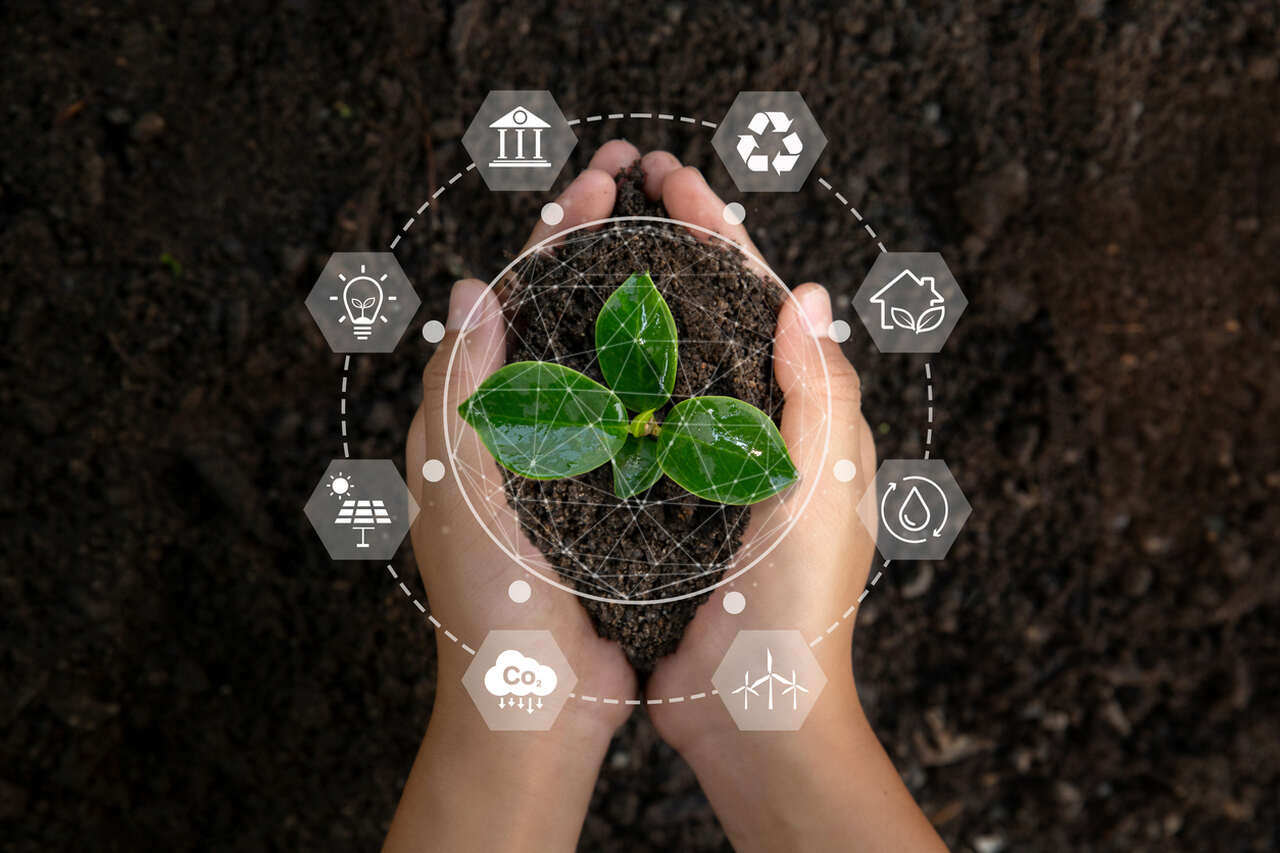 Imagem a qual representa a Sustentabilidade no meio agrícola